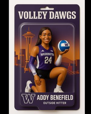Image post by @uwvolleyball on Instagram