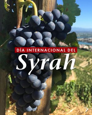 Image post by @riedelpartner_vnzla on Instagram