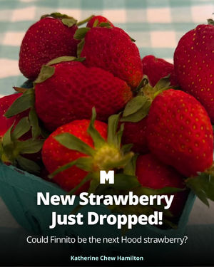 Image post by @portlandmercury on Instagram