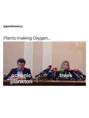 Image post by @gravitonomy on Instagram