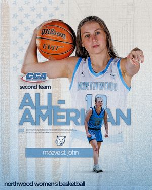 Image post by @nutimberwolves on Instagram