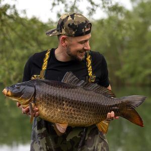 Image post by @brothercarp on Instagram