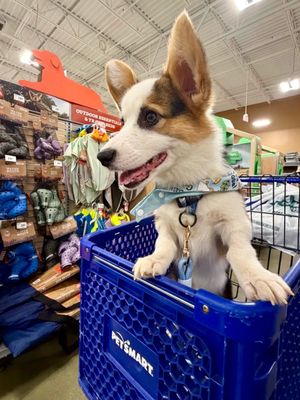 Video post by @petsmart on TikTok