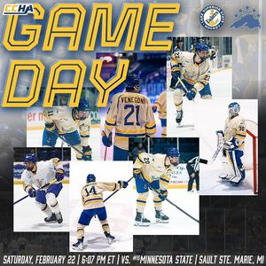 Image post by @lakestatehockey on Instagram