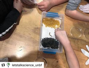 Image post by @letstalkscience_hq on Instagram