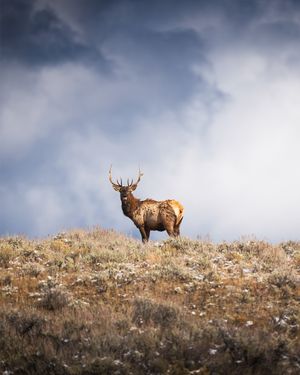 Image post by @traboldphotography on Instagram
