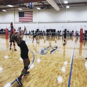 Image post by @goldcrownco on Instagram