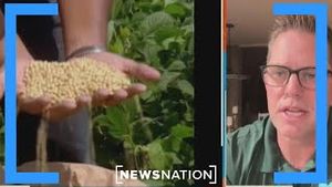 Video post by @newsnation on YouTube