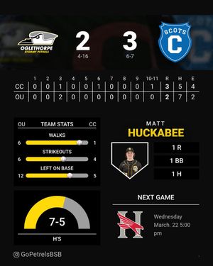 Image post by @GoPetrelsBSB on Twitter