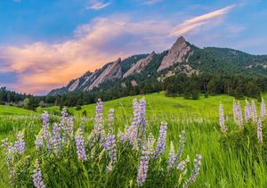 Image post by @cuboulderalumni on Instagram