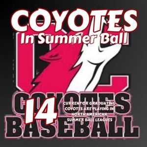 Image post by @YotesBaseball on Twitter