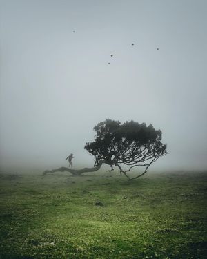 Image post by @kszczuka on Instagram