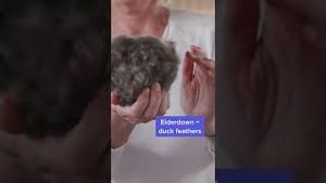 Video post by @businessinsider on YouTube
