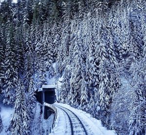 Image post by @amtrak on Instagram