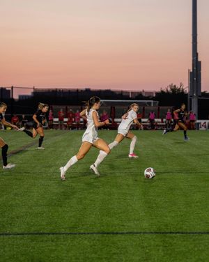 Image post by @terrierwsoc on Instagram