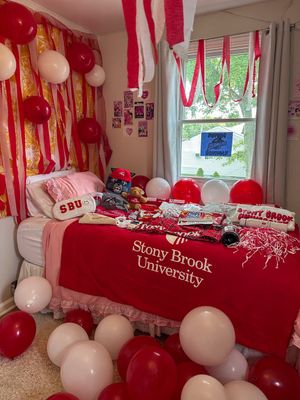 Image post by @stonybrooku on Instagram