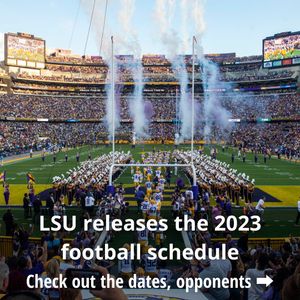 Image post by @theadvocatebr on Instagram