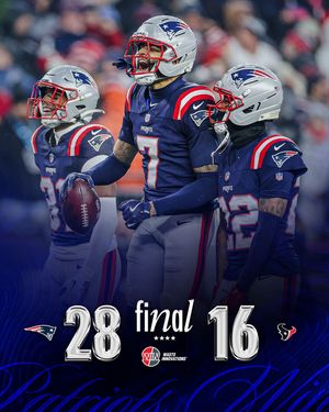 Image post by @patriots on Instagram