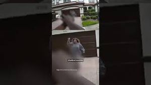 Video post by @nmasunivision on YouTube