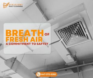 Image post by @Efficientductcleaning on Facebook