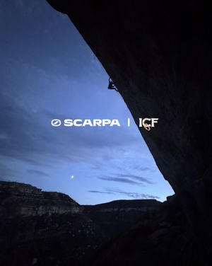 Image post by @scarpana on Instagram