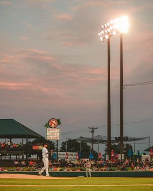 Image post by @gowoodducks on Instagram