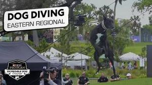 Video post by @nbcsports on YouTube