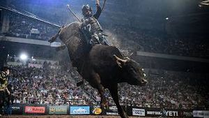 Video post by @pbr on YouTube