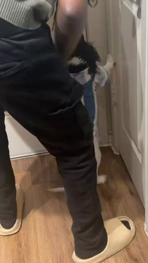 Video post by @theallygreen on Twitter/X
