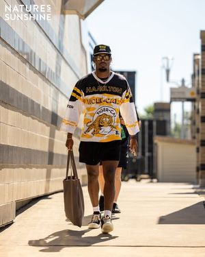 Image post by @hamiltontigercats on Instagram