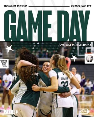 Image post by @msu.nil.store on Instagram