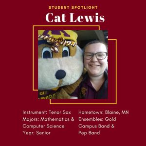 Image post by @umnbands on Instagram