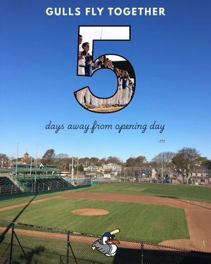 Image post by @newportgulls on Instagram