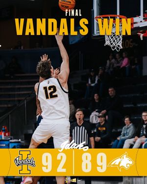 Image post by @vandalhoops on Instagram