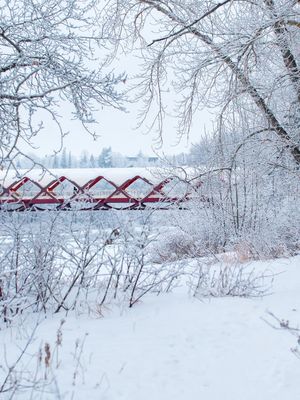 Image post by @cmcalgary on Instagram