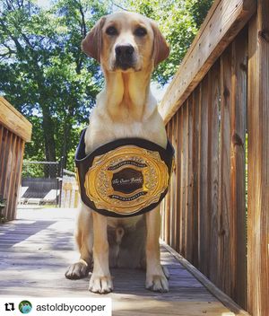 Image post by @theouterbanksnc on Instagram