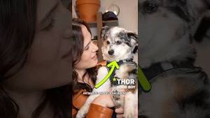 Video post by @cleoabram on YouTube