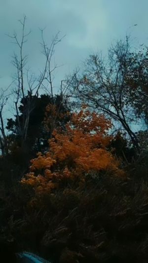 Video post by @alyshiafaith on Instagram