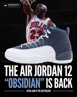 Image post by @soleretriever on Instagram