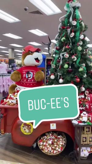 Video post by @livinglocurto on TikTok