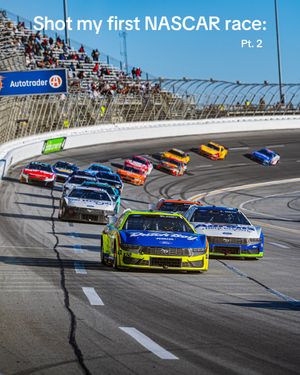 Video post by @diggyvisions on TikTok