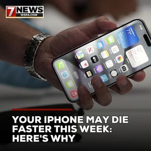 Image post by @wspatv on Instagram