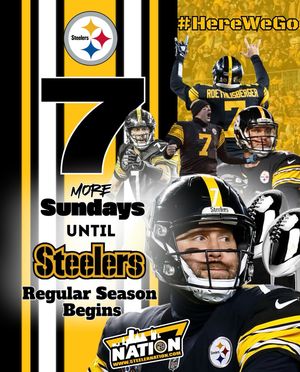 Image post by @steelernationcom on Instagram