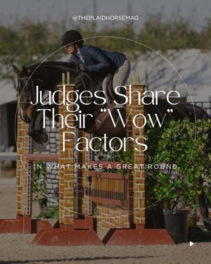 Image post by @theplaidhorsemag on Instagram