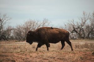 Image post by @iamjddavis on Instagram