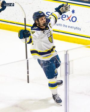 Image post by @merrimack_mih on Instagram