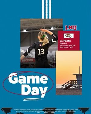 Image post by @lmulionswvb on Instagram