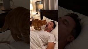 Video post by @aliaboutine on YouTube