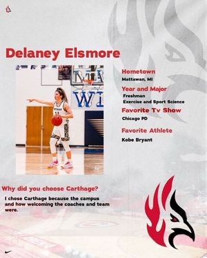 Image post by @carthage_wbb on Instagram