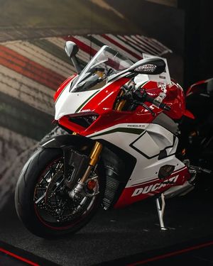 Image post by @panigalers on Instagram